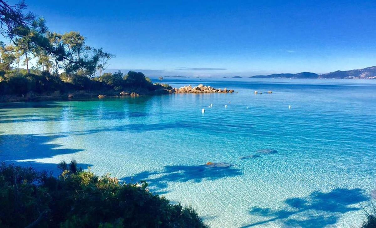 Le Pelican Magnifique F2 Ajaccio  Dış mekan fotoğraf